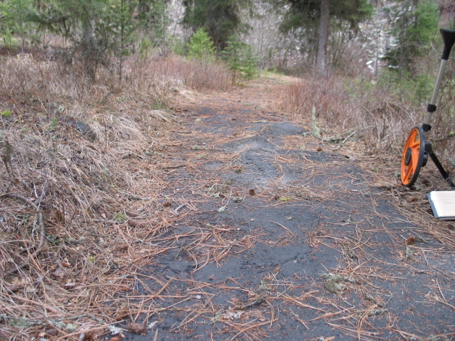 picture showing This picture shows the 7-foot section of trail where tree roots have uplifted the asphalt, creating a tread obstacle of about 3 inches.